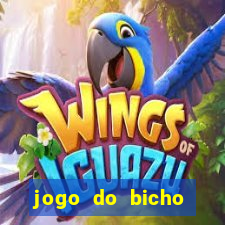 jogo do bicho tipos de apostas